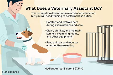 What is the difference between a veterinary assistant and a kennel .